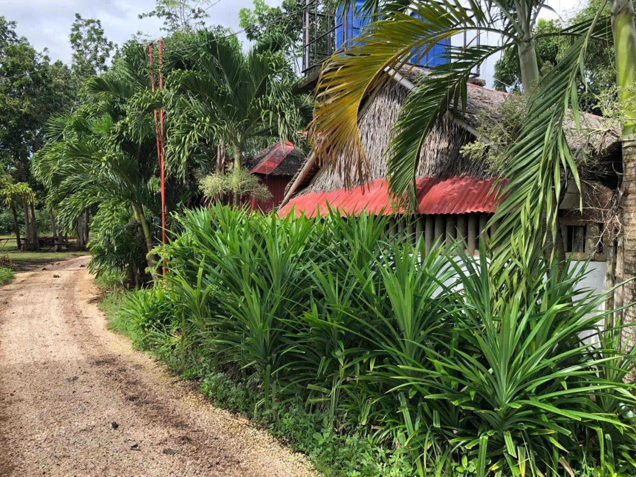 House @Bohol Garden Homes パングラオ エクステリア 写真