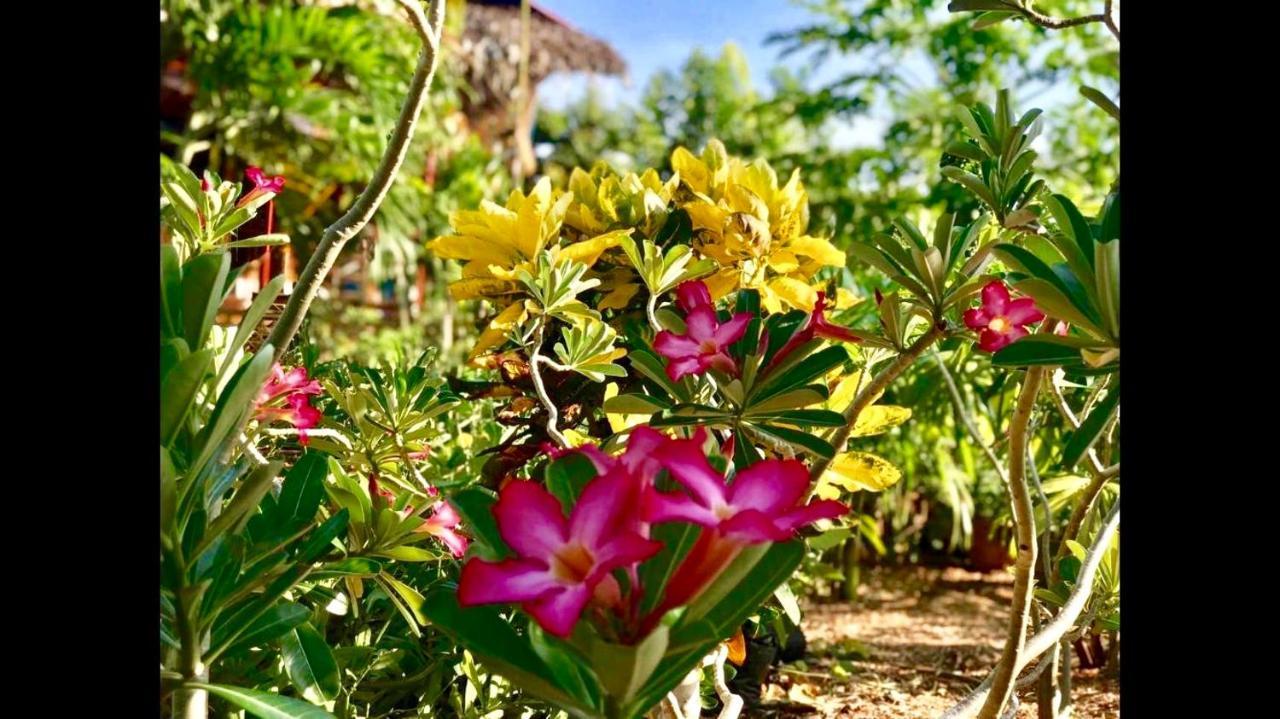 House @Bohol Garden Homes パングラオ エクステリア 写真