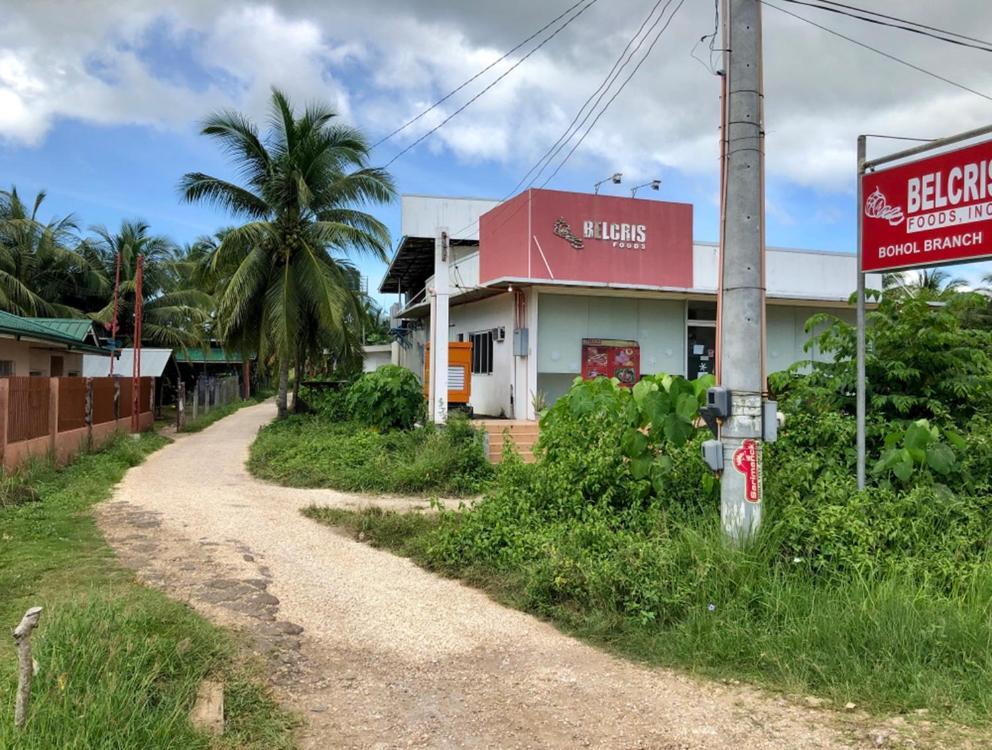 House @Bohol Garden Homes パングラオ エクステリア 写真